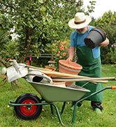 un homme dans un jardin avec une brouette
