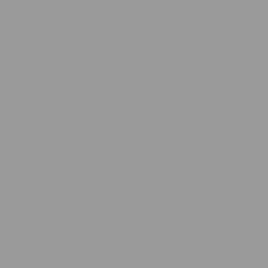jardinite Abri de Jardin avec Toit prolongé Gris Clair 277x107x181 cm, Maison & Jardin, Pelouses & Jardins, Vie en extérieur, Structures extérieures, Cabanes & abris de Jardin, Gris, (Poids 41.56KG)