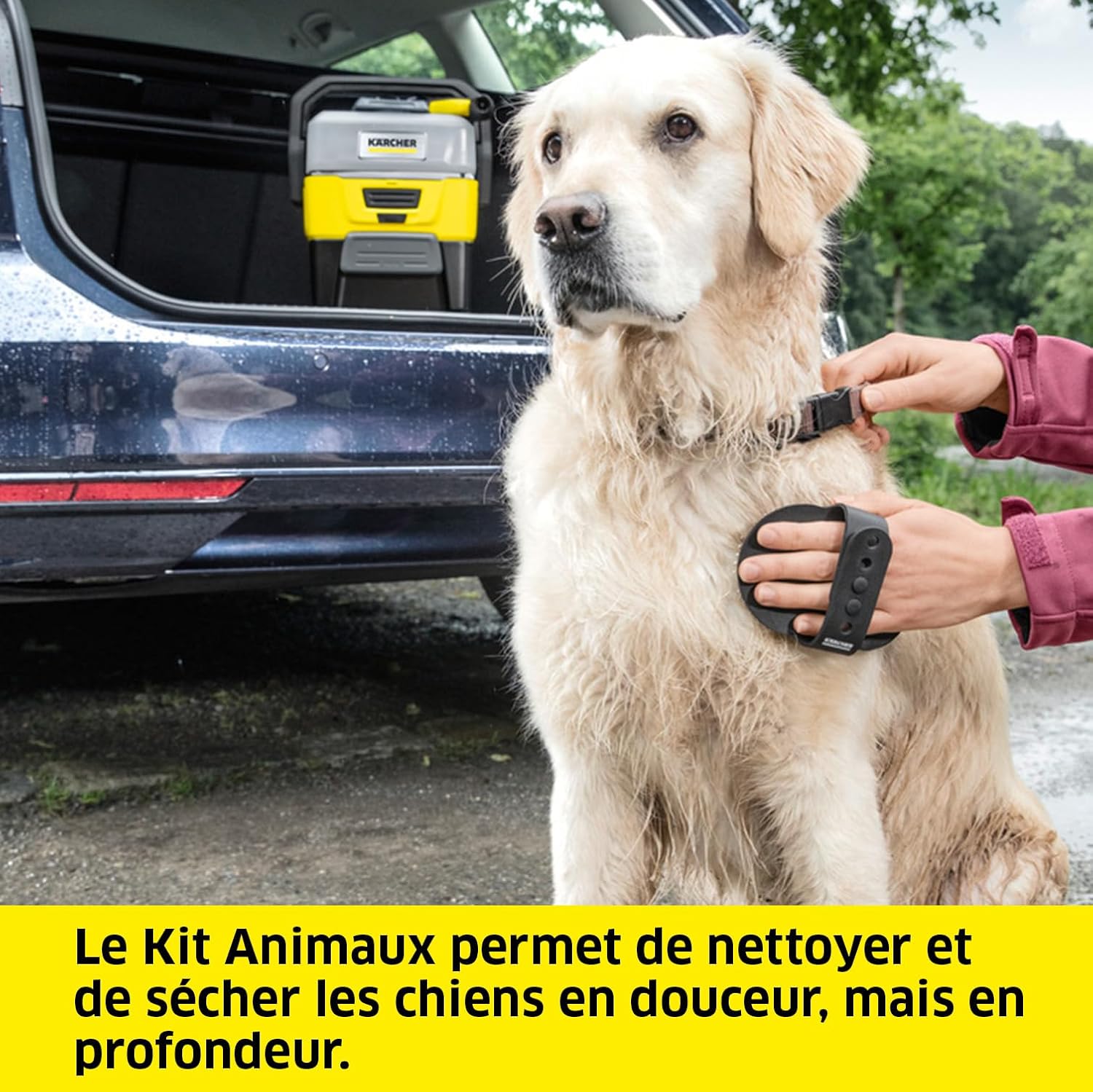 jardinite Nettoyeur à Pression Mobile OC 3 + Kit Animaux, Débit : 2 L/h, Réservoir : 4L, Tuyau : 2,8 m, Buse à Jet Plat, Buse Conique, Brosse Pet, Serviette pour Animaux Domestiques, Boîte de Rangement