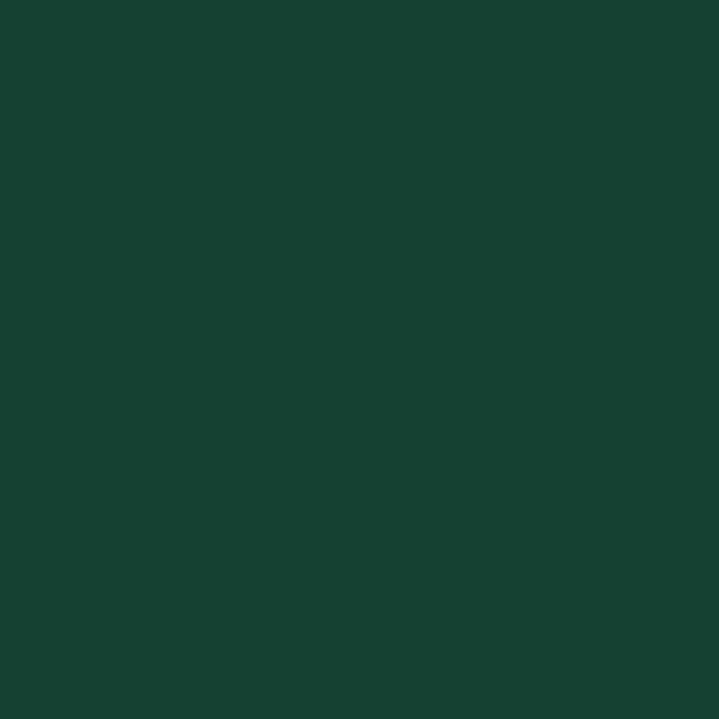Abri de jardin vert 277 x 93 x 179 cm en acier galvanisé avec toit incliné et ouvertures d'aération pour outils de jardin et stockage du bois de chauffage