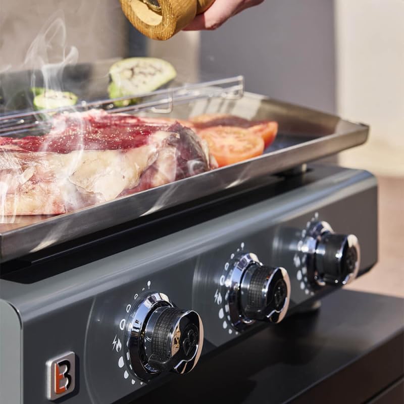 Favex - Silvia II G - 67x34 cm - plancha gaz 3 feux inox, cuisson homogène