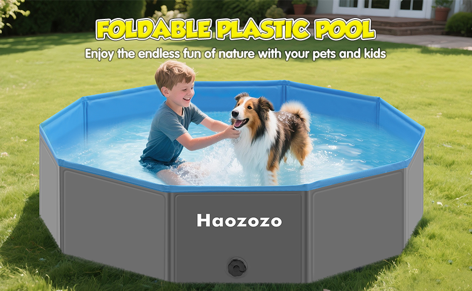 Piscine pour Chien