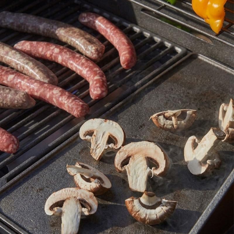 Favex - Spring II - barbecue gaz 3 brûleurs 9,95 kW, mixte grille & plancha, EASY CLEAN, tablettes rabattables, jusqu'à
