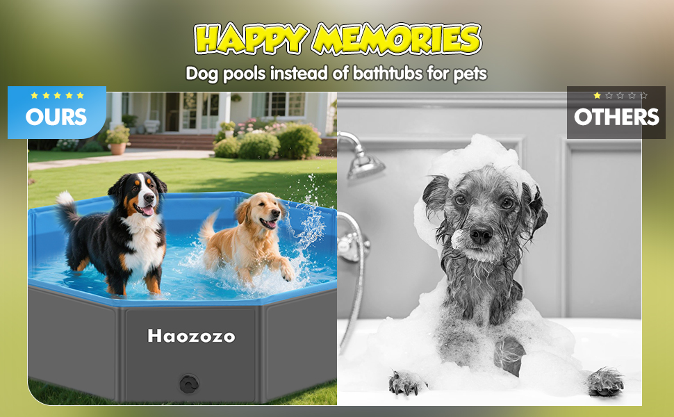 Piscine pour Chien