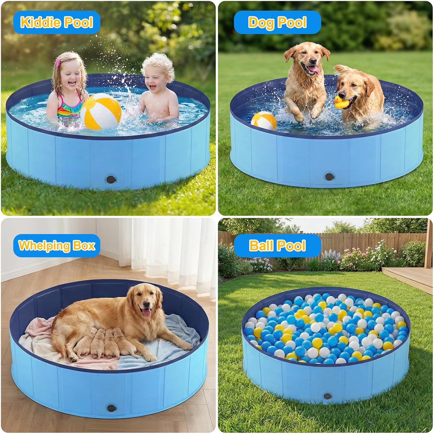 Piscine chien pliable - PVC stable 160x30cm - antidérapant et portable