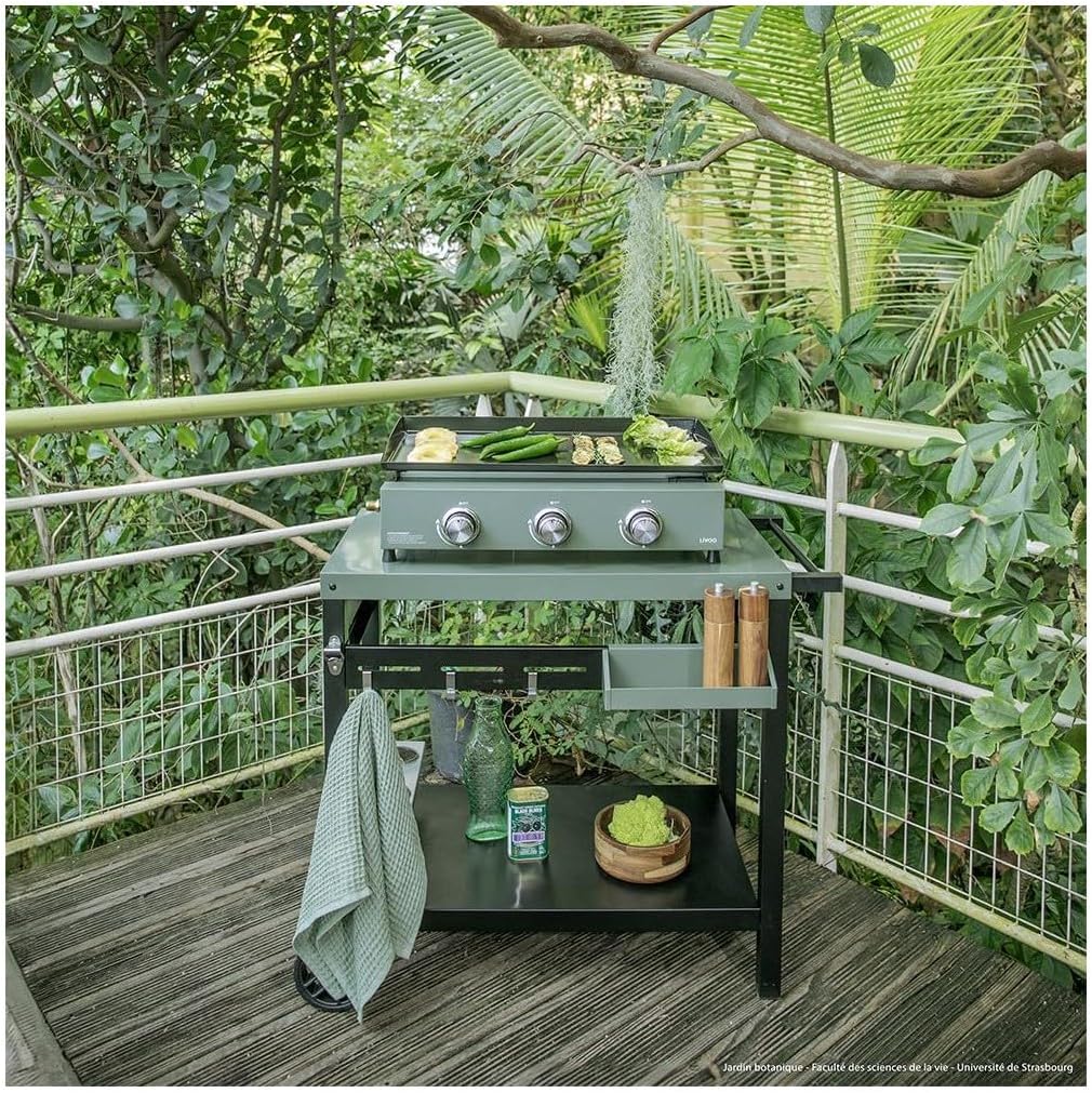 Plancha gaz 3 brûleurs - Surface cuisson XL - Allumage rapide - DOC324