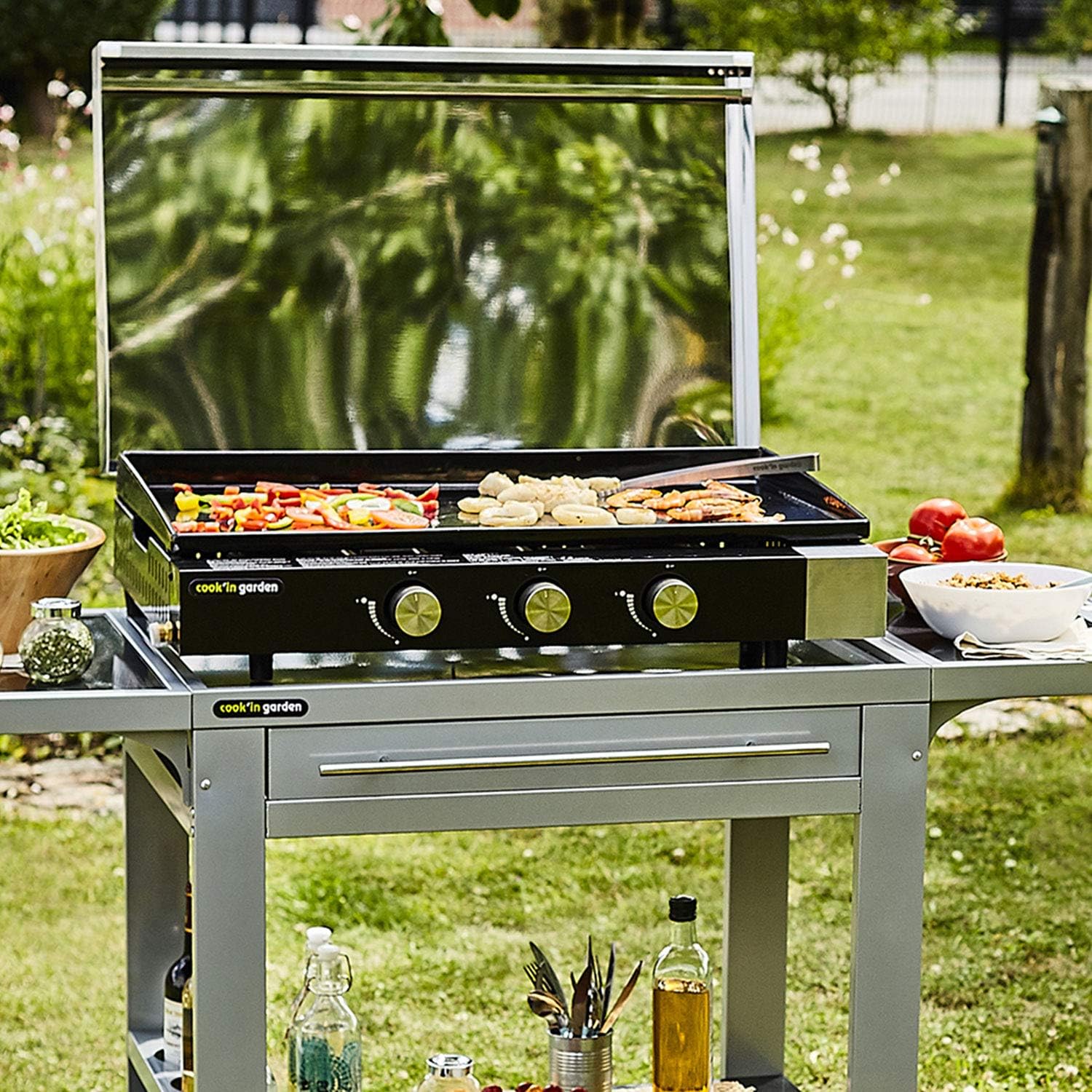 jardinite - FINESTA - plancha gaz 3 brûleurs, plaque fonte, capot, récupérateur
