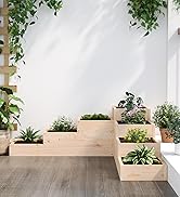 Jardinières en bois à plusieurs niveaux de différentes tailles, remplies de plantes et de plantes succulentes variées. Placé contre un mur blanc baigné de lumière naturelle.