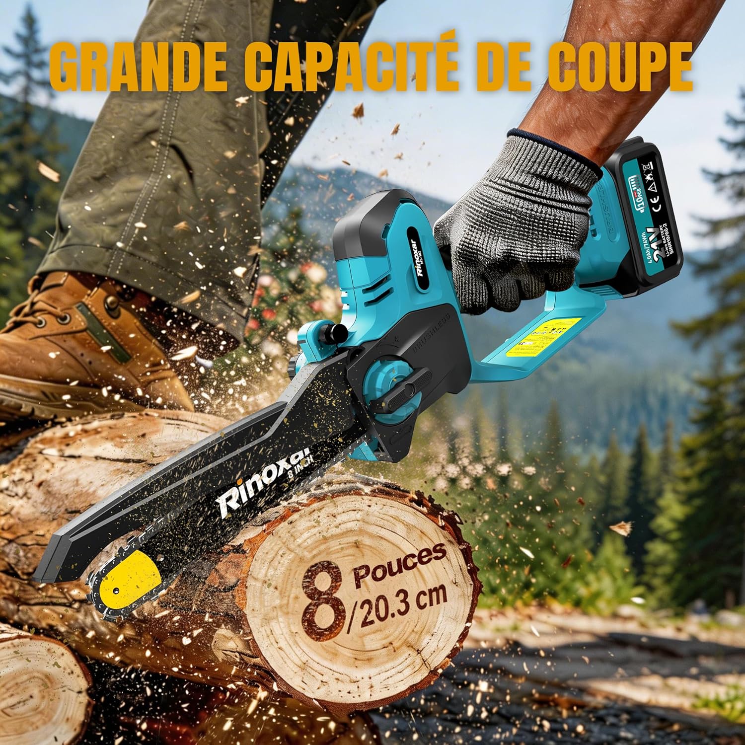 Élagueuse sur perche - 8 pouces - batterie 2x4000mAh, télescopique, lubrification auto