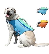 Chien de couleur claire portant un gilet de protection bleu et vert avec harnais. Deux petits accessoires de chariot à roues bleu et orange illustrés à droite.