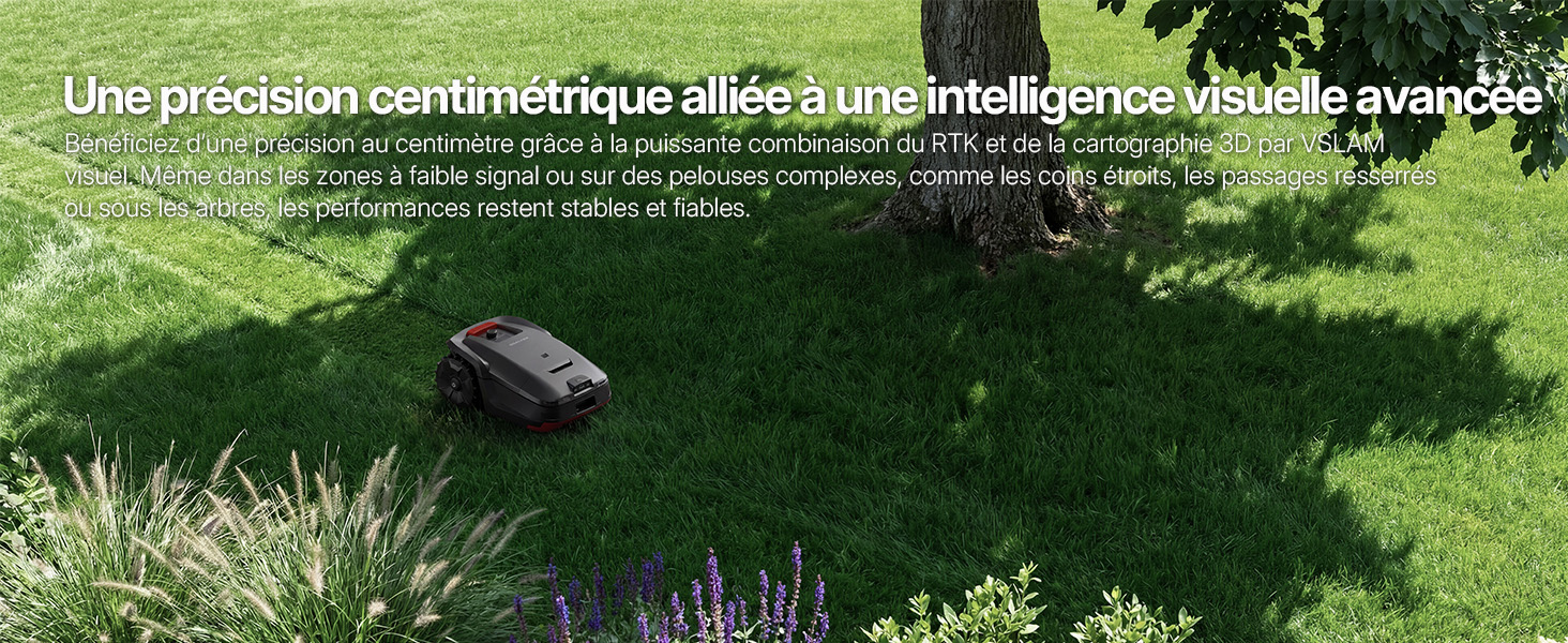 Texte en portugais visible en haut de l'image. Scène extérieure montrant un aménagement paysager avec des pierres, de l'herbe et des plantes au sol.