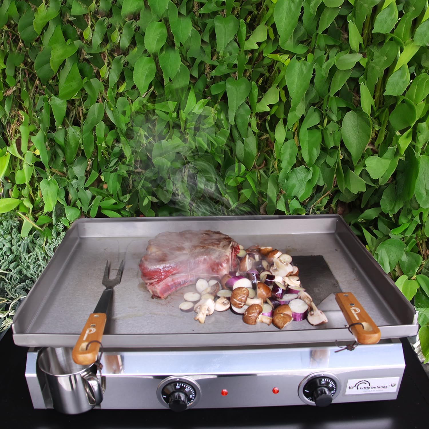 jardinite - Plancha électrique 2 zones inox 3000W, 60x40cm - 8679
