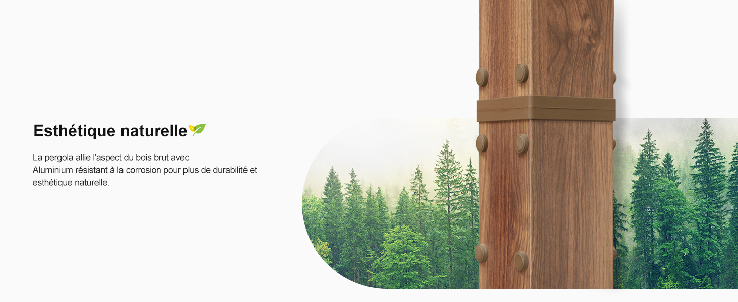Pergola Finition Teck