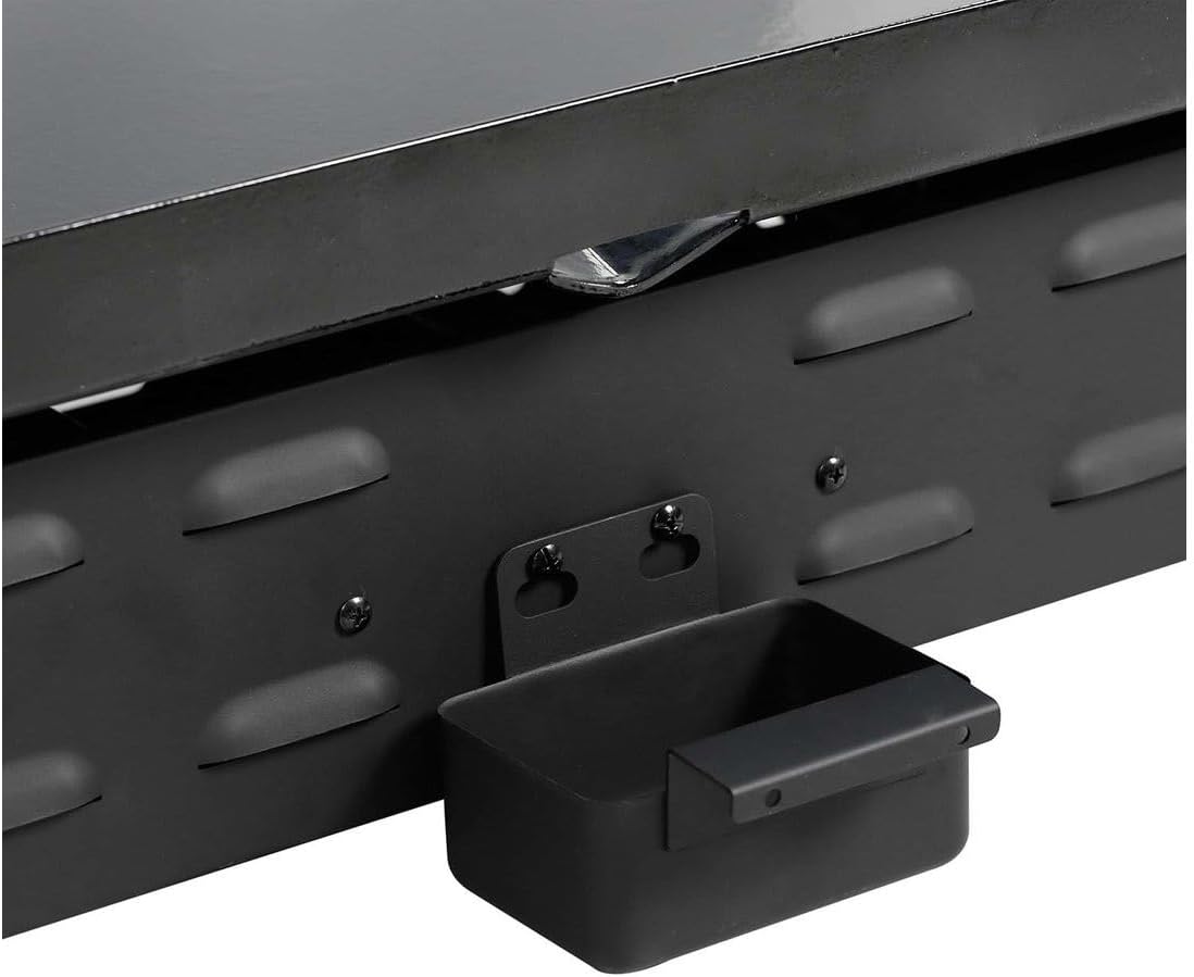 Plancha - 4 brûleurs, 9.7kW, gris, dimensions familiales