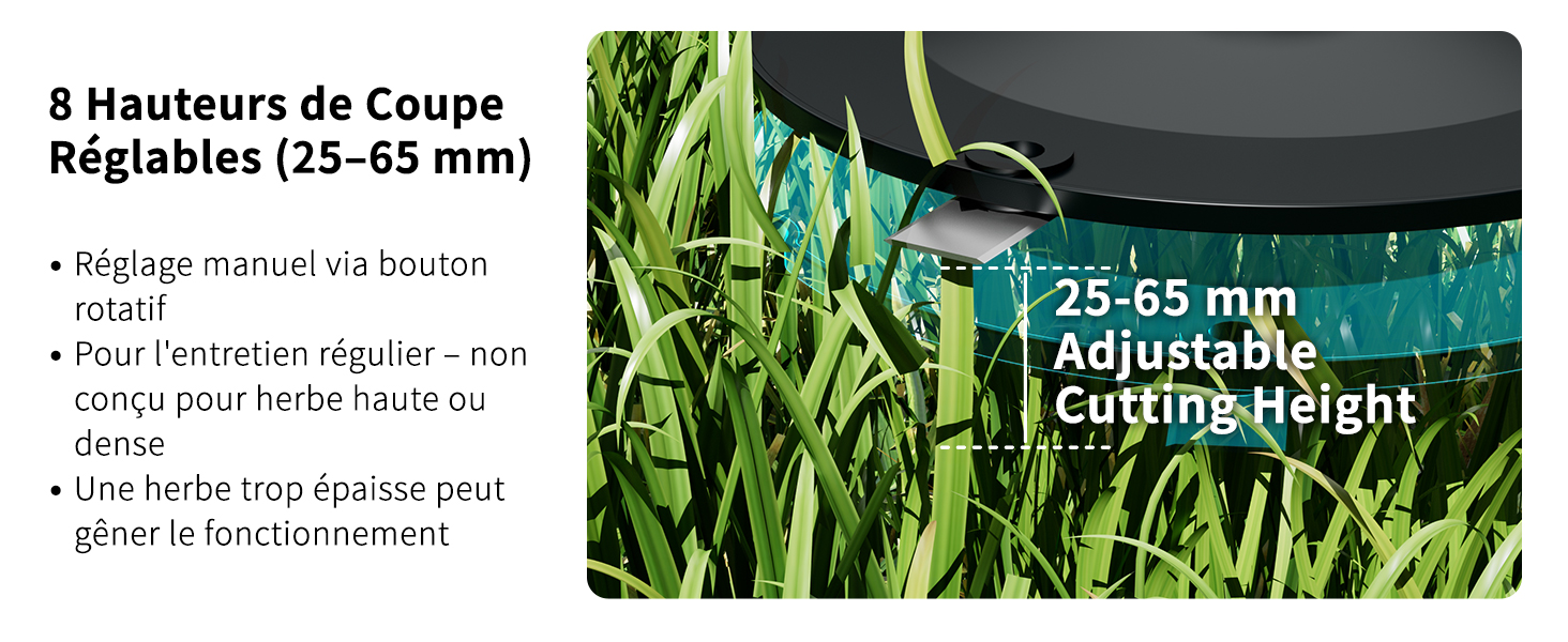 Série de photographies rapprochées montrant de l'herbe ou de la pelouse, avec des mesures et des spécifications techniques superposées.