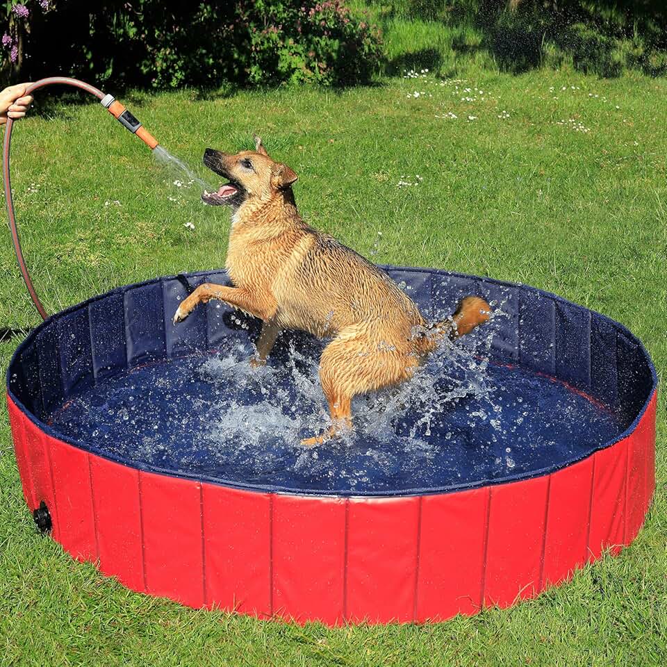 jardinite - Piscine pliable Ø160x30cm - PVC antidérapant, bouchon vidange