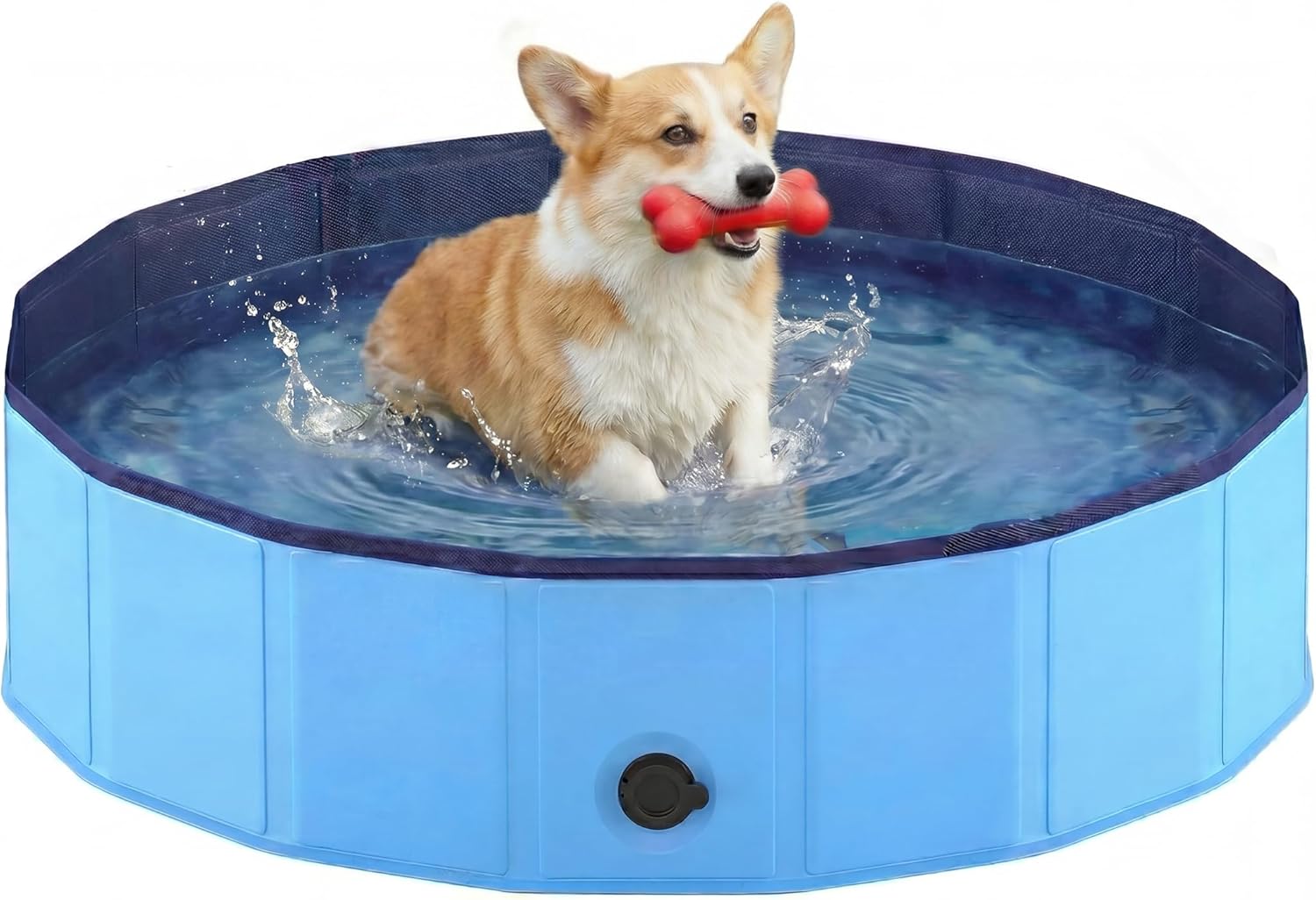 Piscine pour chien - pliable 80x20cm - PVC antidérapant, portable