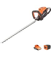 jardinite - Taille-Haies sans fil 40V avec Lame 60cm, Batterie au Lithium et chargeur - LH G60