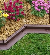 une bordure de jardin fleurie
