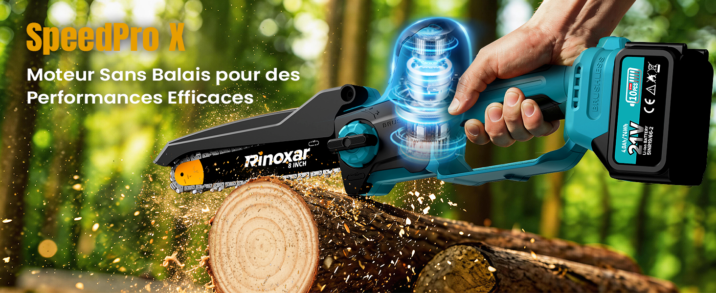 Le texte indique « Starker Motor » et « Moteur sans bruit pour des performances efficaces ». L'image montre une perceuse sans fil bleue ou un outil électrique avec piles affichées, en configuration de jardin extérieur.