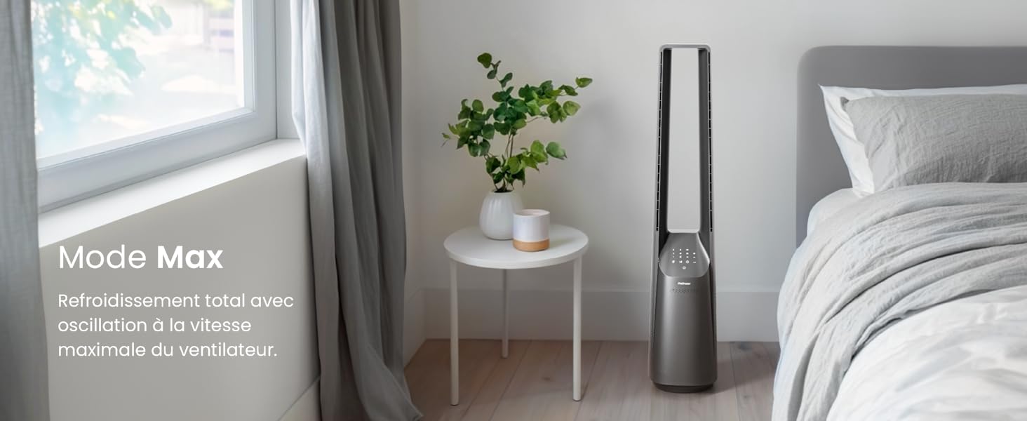fan