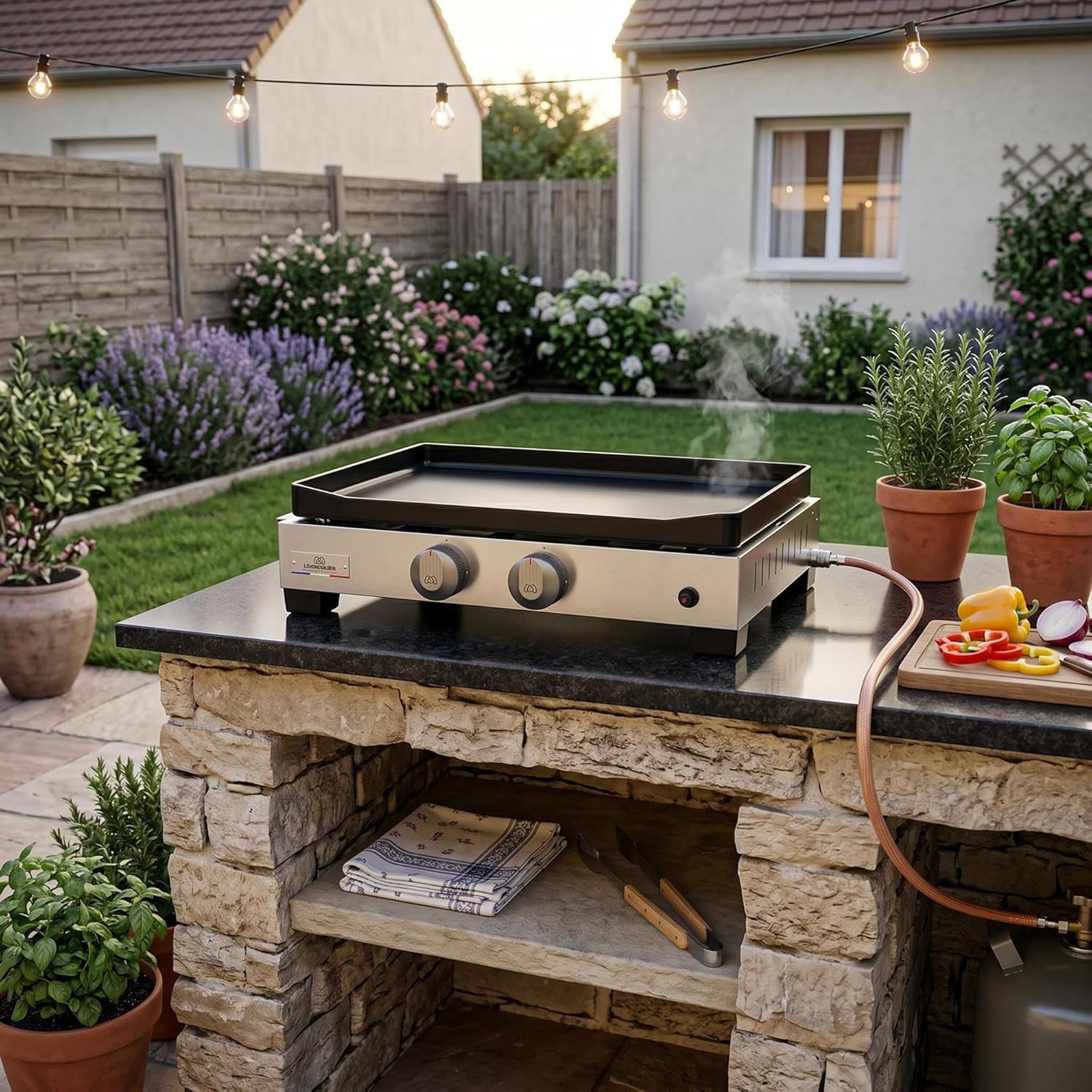 jardinite - Plancha La Petite Francaise - gaz - 250