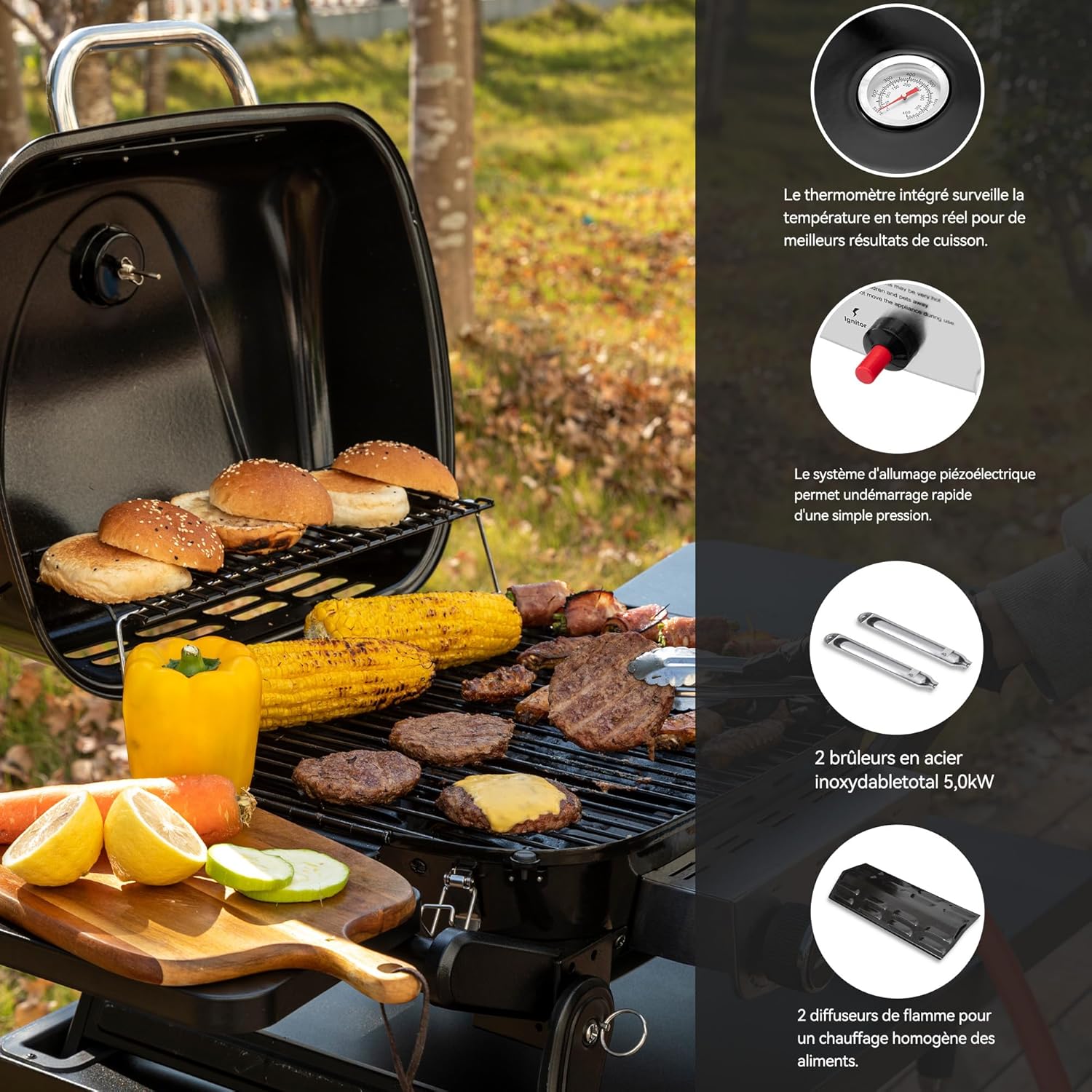 jardinite - barbecue gaz portable - 48x37 cm - 2 brûleurs, tables pliantes, chariot détachable, 5kW